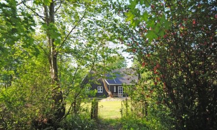 'Mandana' - 10km to the fjord 3