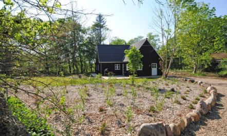 'Mandana' - 10km to the fjord 2