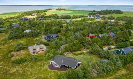 'Leona' - 250m to the fjord 2