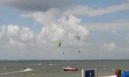 'Samuil' - 300m to the fjord 1