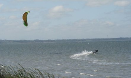 'Brynjolf' - 350m to the fjord 7