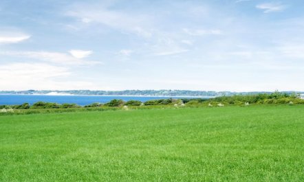 'Brynjolf' - 350m to the fjord 4