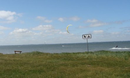 'Brynjolf' - 350m to the fjord 3