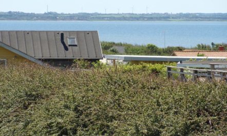 'Brynjolf' - 350m to the fjord 2