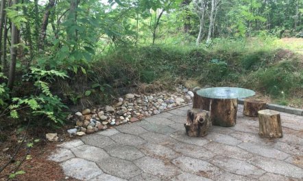 'Elevine' - 300m to the fjord 5