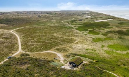 'Apolina' -  from the sea