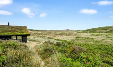 'Apolina' -  from the sea 4