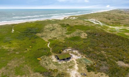 'Apolina' -  from the sea 1