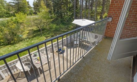 'Ridir' - 3.5km from the sea 4