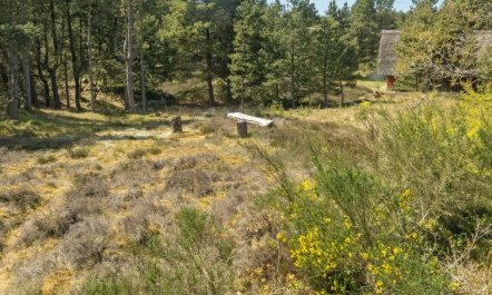 'Ridir' - 3.5km from the sea 3