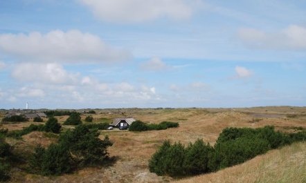 'Akeleje' - 900m from the sea 2