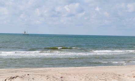 'Helen' - 500m to the fjord 2