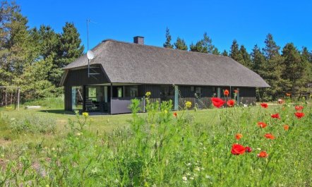 'Dix' - 900m from the sea