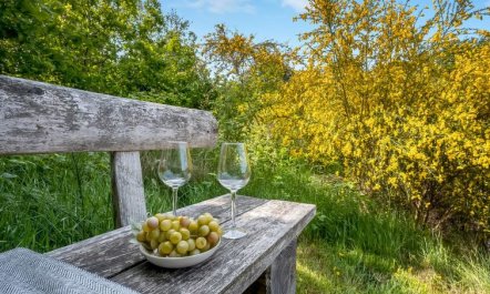 'Ufej' - 2.5km from the sea 1