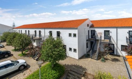 'Jærind' - 20m from the sea 1