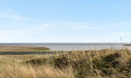 'Elizabeta' - 100m to the fjord 4