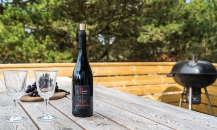 'Floria' - 1.4km from the sea 7