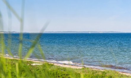 'Jolanta' - 20m from the sea 1