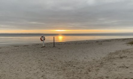 'Brothir' - 500m from the sea 1