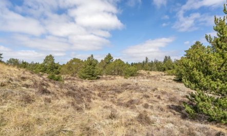 'Absolon' - 1.5km from the sea 3