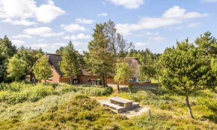 'Artan' - 2.6km from the sea 2