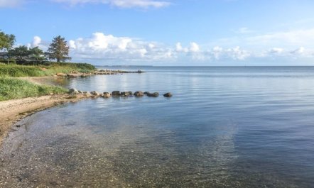 'Regni' - 300m to the fjord 2