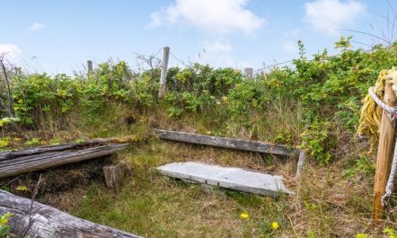 'Pia' - 400m from the sea 6