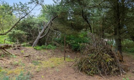 'Magga' - 3.2km from the sea 2