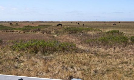 'Blomma' - 350m from the sea 2