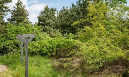 'Livni' - 3.8km from the sea 5