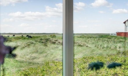 'Mortensen' - 350m from the sea 6