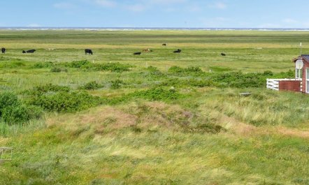 'Mortensen' - 350m from the sea 3