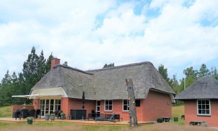 'Harpa' - 2.5km from the sea 1