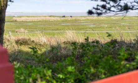 'Sedine' - 3.9km from the sea 6