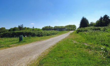 'Eloise' - 50m to the fjord 5