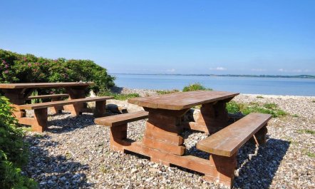 'Eloise' - 50m to the fjord 3