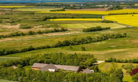 'Elia' - 5km to the fjord 5