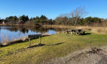 'Karlsefni' - 600m to the fjord 4