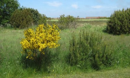 'Karlsefni' - 600m to the fjord 2