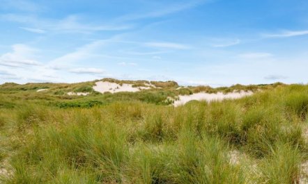 'Nicolaus' -  from the sea 6