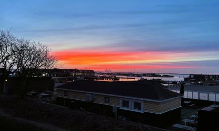 'Gustav' - 100m to the fjord