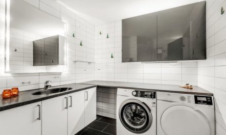 'Gustav' - 100m to the fjord 2