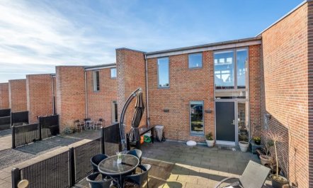 'Gustav' - 100m to the fjord 3