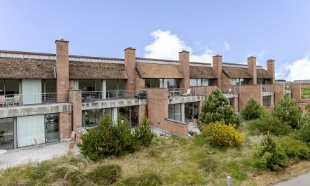 'Øgoti' - 500m from the sea 7