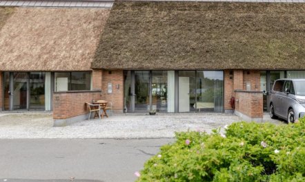 'Øgoti' - 500m from the sea 2