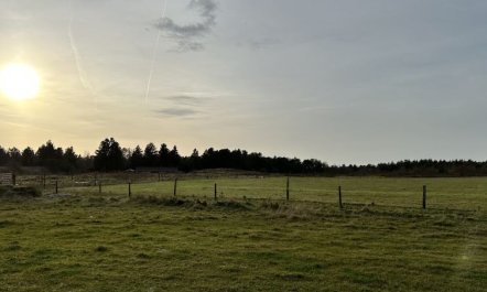 'Sönke' - 4km from the sea 4