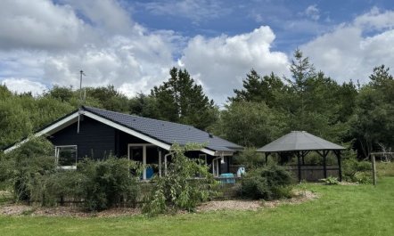 'Jorina' - 700m to the fjord 1