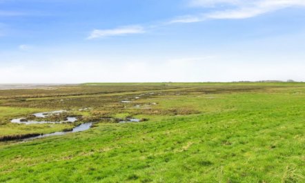 'Stefani' - 2km from the sea 4