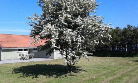 'Allita' - 12km from the sea 2