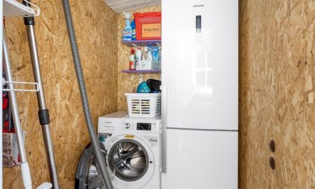 'Sondra' -  from the sea 1